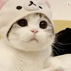 应姐妹们要求 开个表情包分享贴 来吧 展示 ... 来自马可阿菠萝赛东 - 微博