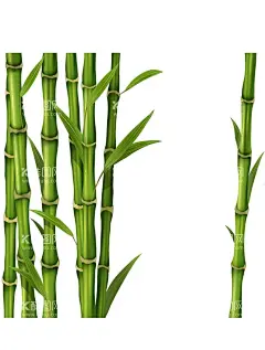 竹子 图片 竹叶 png  手  - 源文件下载【酷图网】竹子,图片,竹叶,png,手绘,竹子翠竹,绿竹,竹枝,竹报平安,中国风,竹,竹子绘画,竹子矢量图,竹子墙贴,挂画插画,竹子手绘,竹林,竹笋,卡通竹笋,插画,植物,意境竹枝,竹影清风,竹子背景,手绘竹,绿色竹子,春天,插画竹子,手绘绿植,绿色植物,富贵竹,竹子素材,竹素材,