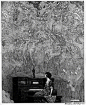 Franklin Booth（1874-1948） ​​​​