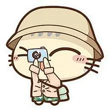 cc猫图片大全-cc猫高清好看的图片--花瓣绮妗的画板