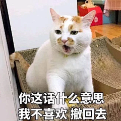 今天是小正义采集到嘻嘻