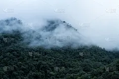 看秘鲁的云雨林，热带地区的丛林，秘鲁的探险之旅，云上面的雨林，美丽的风景，壁纸