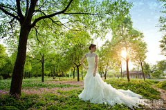 andrew采集到100%客照_首尔首尔婚纱摄影