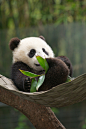 Hammock full of Wu | Flickr - Photo Sharing!