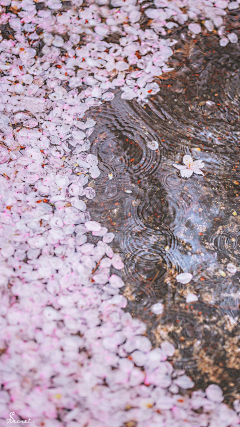 大雨转阴转晴转多云采集到光影记