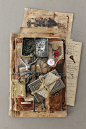 "Carnet of curiosities" by Jérôme Cavailles french Artist