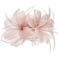 Untold Khloe Flower Feather Clip