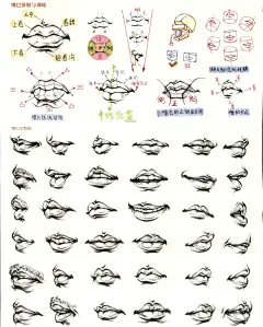 速写人物五官篇-嘴巴~持续更新_2_不会画画的啊管_来自小红书网页版