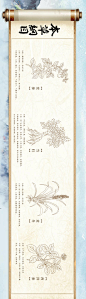 本草纲目药材长图海报-设计素材-shejisc.cn