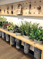 Magnolia Market: What is New for Spring at the Silos | CuterTudor
