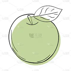 矢量线苹果。绿色简单的涂鸦水果。
