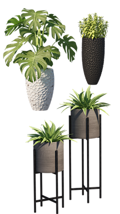 星璇之泣采集到植物