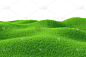 绿色,草,田地,自然,草地,水平画幅,枝繁叶茂,无人,草坪,白色