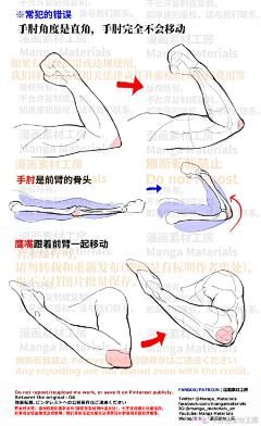 东南西北的西西采集到人体动态参考 手脚及一些肌肉