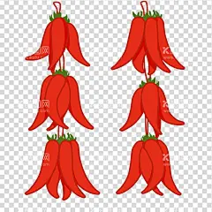 辣椒    - 源文件下载【酷图网】辣椒,辣椒广告,辣椒图片,辣椒素材,辣椒装饰物,辣椒酱,青椒,青辣椒,红辣椒,辣椒海报,辣椒调料,辣椒包装,免扣辣椒,免扣素材,卡通辣椒,手绘辣椒,辣椒插画,卡通辣椒素材,川菜海报,湘菜海报,川菜,湘菜,麻辣,香辣,美食海报,餐厅,菜单,火锅,麻辣火锅,香辣火锅,蔬菜,无辣不欢,
