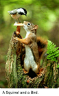 Pinterest