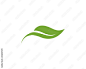 green leaf ecology nature element vector icon