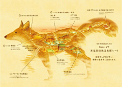 DISPLAY-采集到Map