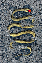 0daf5f77c444595a1c03bc59e6bb7e33