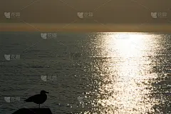 大海在夕阳下闪闪发光