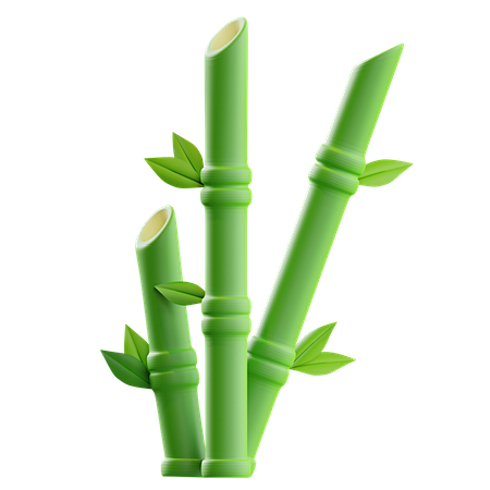 Bamboo 3D Illustrati...