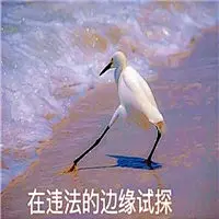 在边缘试探系列表情包大全 在违法的边缘试探表情原图包-腾牛个性网