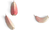 02-elem-ajos.png (16...