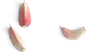 02-elem-ajos.png (160×97)