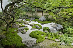 栀芓采集到植意——禅意 日式