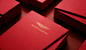 Yun San Motors Red Packet Packaging - 不毛 nomocreative (5)