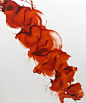 Paul Kasmin Gallery - Works