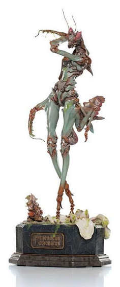 orchid mantis - hymenopus coronatus - anthrop.