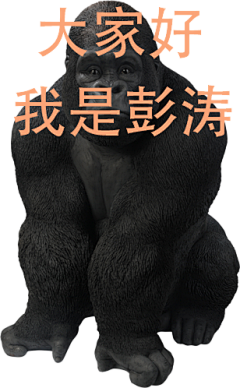 剑来第一人采集到表情包