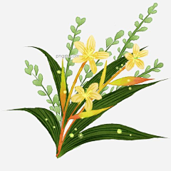 咦咦咕咕采集到插画|小元素|小动物|小人物