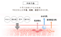 ISDIN怡思丁秀提焕颜紧致嫩白保湿抗衰老抗污染多效修护霜50ml-tmall.hk天猫国际