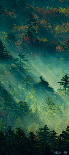 ᔆᵒʳʳᵞ·采集到风景/意境人物美图