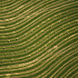 aerial palouse WA,Agriculture and Farms,CALIFORNIA FARMS,Farmland aerial image,fine art prints,los angeles aerials,Montana aerial farmland,Palouse farmland,phase one aerial,Produce aerial art