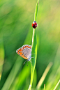 Photograph two lovers by yilmaz uslu on 500px