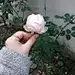 刘鑫❤️