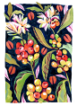 botanical Coffee dog gouache monkey Nature painting   Plant poster woman