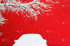 一个下雪的树枝和一辆车在一堵红墙的背景在下雪期间。6、平安道路理念，礼物圣诞，保险过冬