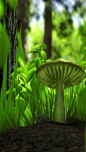  蘑菇 


