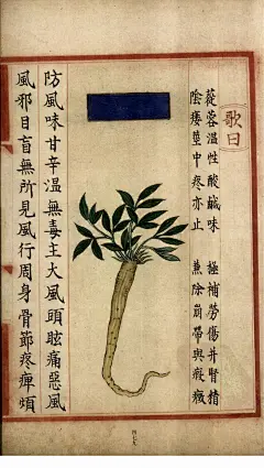 补遗雷公炮制便览