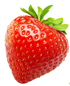 gegeduo采集到草莓