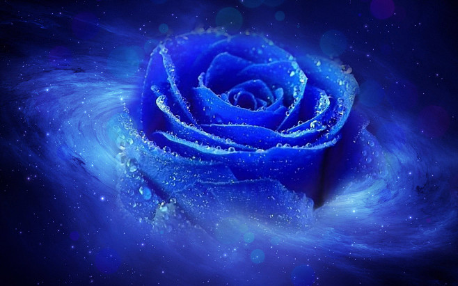 蓝色玫瑰花桌面壁纸_好搜图片_20150...