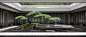 640 (1).png