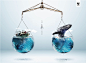 WWF - Ads : 3 graphic concepts to WWF campaign