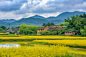 乡村旅游自然风景壁纸