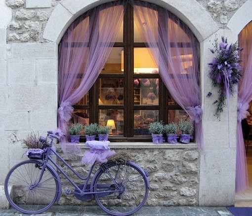 O、窗、窗帘、自行车、春暖花开、单车