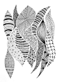 Zentangle #129 - Sinuous curves | Flickr - Photo Sharing!